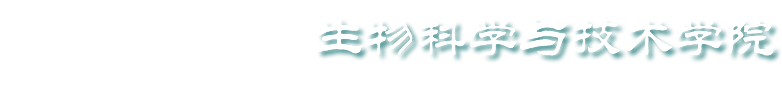 beat365网页版登录官网